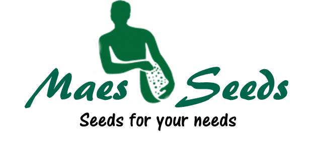 Maes Seeds logo